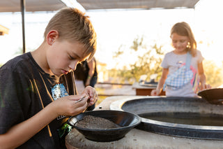 Gold Bug Panning Paydirt